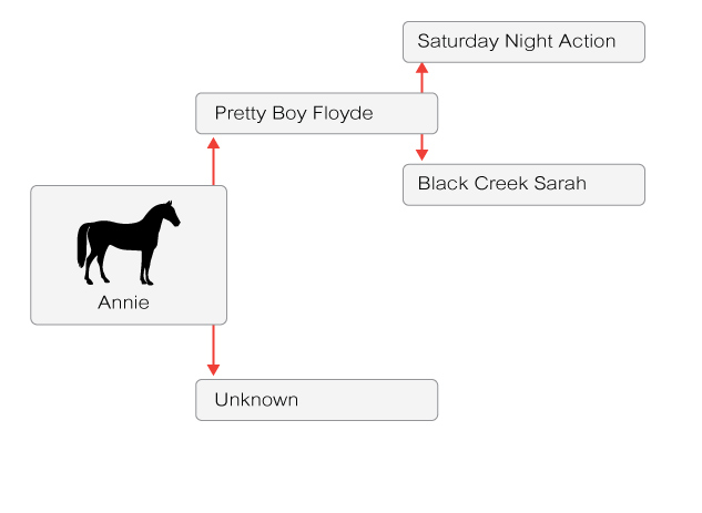 single-summary-img